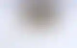 Blurred archive preview