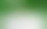 Blurred archive preview