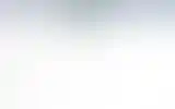 Blurred archive preview