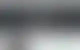 Blurred archive preview