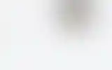 Blurred archive preview
