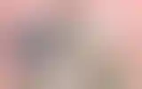 Blurred archive preview
