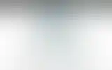 Blurred archive preview