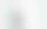 Blurred archive preview
