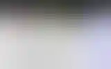Blurred archive preview