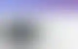 Blurred archive preview
