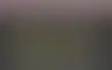 Blurred archive preview
