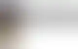 Blurred archive preview