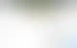 Blurred archive preview