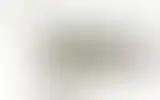 Blurred archive preview