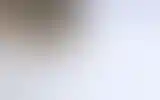 Blurred archive preview