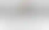 Blurred archive preview