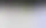 Blurred archive preview