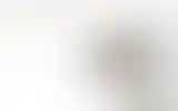Blurred archive preview
