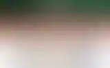 Blurred archive preview