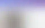 Blurred archive preview
