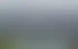 Blurred archive preview