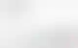 Blurred archive preview