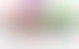 Blurred archive preview