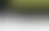 Blurred archive preview