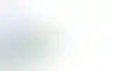 Blurred archive preview
