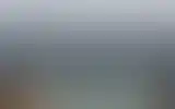 Blurred archive preview