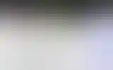 Blurred archive preview