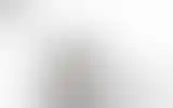 Blurred archive preview