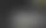 Blurred archive preview