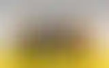 Blurred archive preview