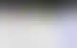 Blurred archive preview