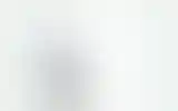 Blurred archive preview
