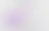 Blurred archive preview