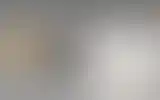 Blurred archive preview
