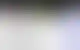 Blurred archive preview