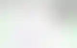Blurred archive preview