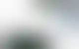 Blurred archive preview