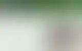 Blurred archive preview