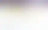 Blurred archive preview