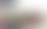 Blurred archive preview