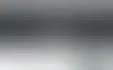 Blurred archive preview
