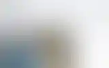 Blurred archive preview