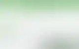 Blurred archive preview