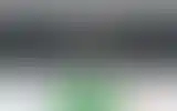 Blurred archive preview