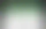 Blurred archive preview