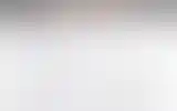 Blurred archive preview