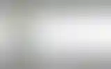Blurred archive preview
