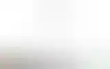 Blurred archive preview