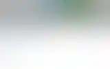 Blurred archive preview