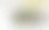 Blurred archive preview